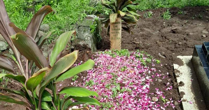 Instagram.com/poppyatoy